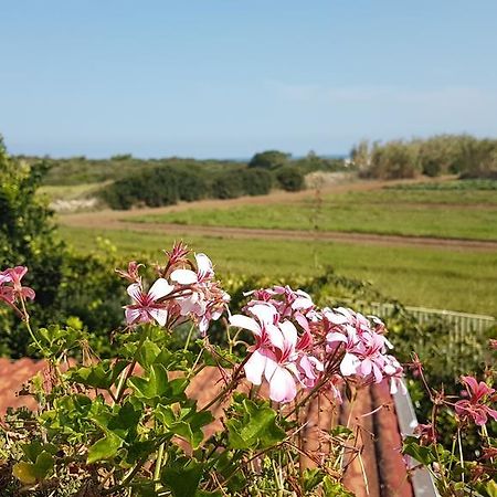 Villa Rosamarina 로사 마리나 외부 사진