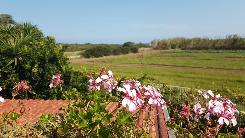 Villa Rosamarina 로사 마리나 외부 사진
